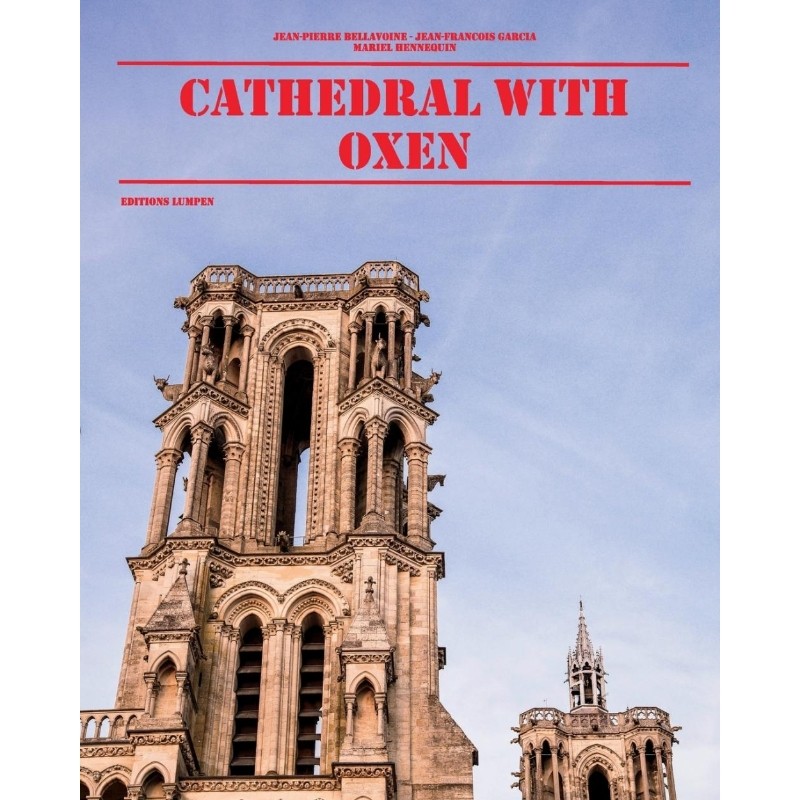 预订，预计下单后2-3周左右发货！