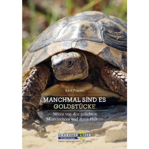 预订，预计下单后3-6周左右发货！