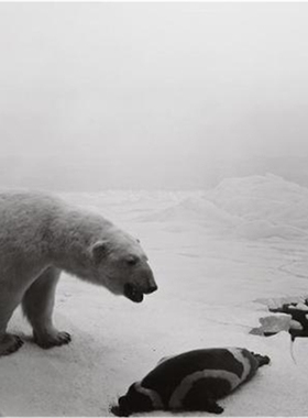 预订Hiroshi Sugimoto: Dioramas