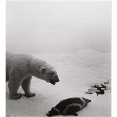 预订Hiroshi Sugimoto: Dioramas