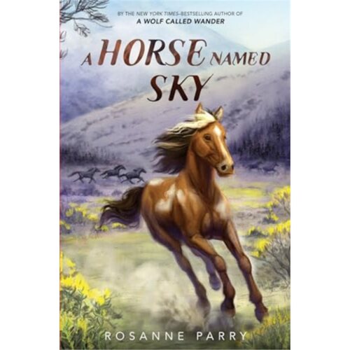 A Horse Named Sky 一匹名叫天空的马 罗莎妮·帕里  荒野之声 [9780062995964]