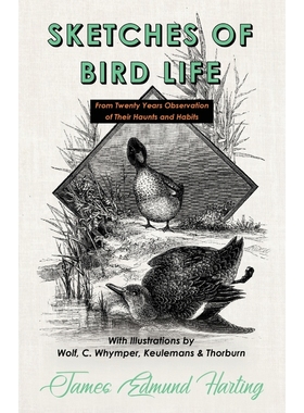 预订Sketches of Bird Life - From Twenty Years Observation of Their Haunts and Habits - With Illustration