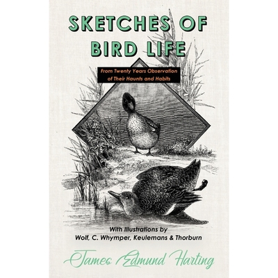 预订Sketches of Bird Life - From Twenty Years Observation of Their Haunts and Habits - With Illustration