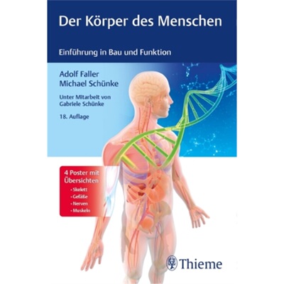 预订不退不换德语 Der Körper des Menschen[9783132438200]