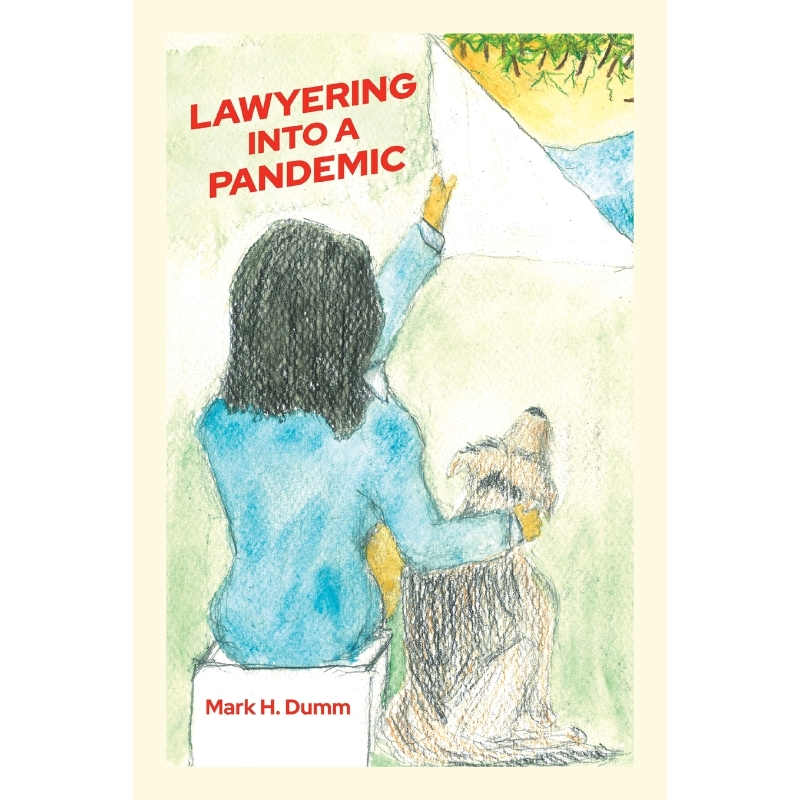 预订，预计下单后2-3周左右发货！