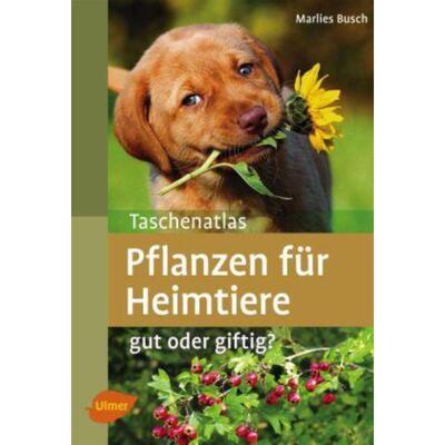 预订【德语】 Taschenatlas Pflanzen für Heimtiere:Gut oder giftig?