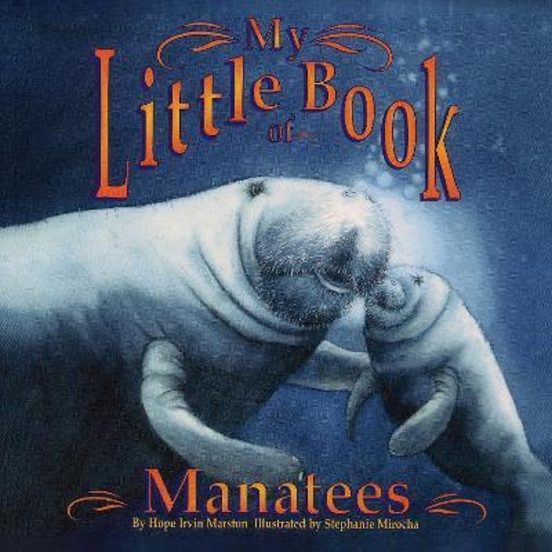 预订My Little Book of Manatees 书籍/杂志/报纸 儿童读物原版书 原图主图