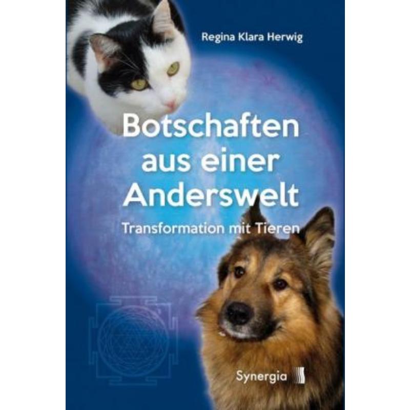 预订，预计下单后3-6周左右发货！