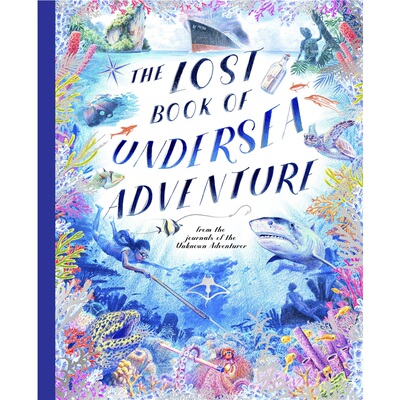 现货 海底探险失落的宝藏 The Lost Book of Undersea Adventure 英文原版 上海外文 9781805704812