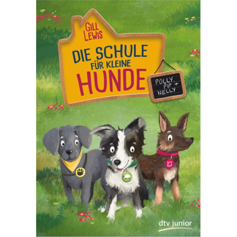 预订，预计下单后8-12周左右发货