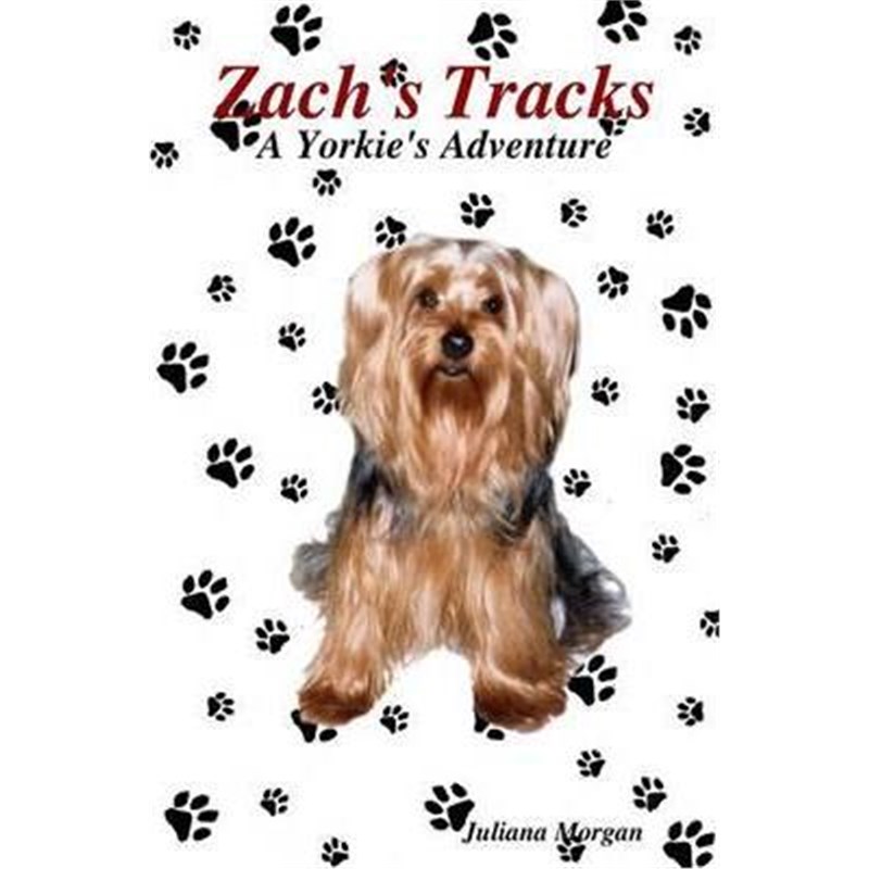 预订，预计下单后3-4周左右发货！