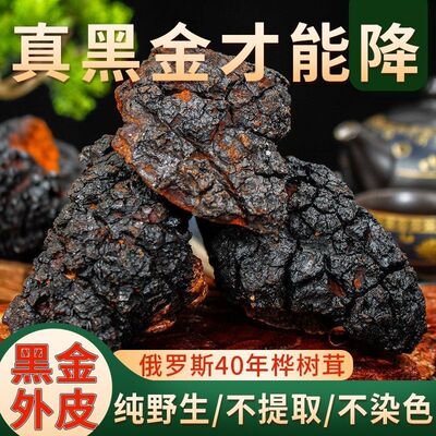 40年份俄罗斯桦树茸带黑金纯野生进口不提取桦褐孔菌白桦茸桦树