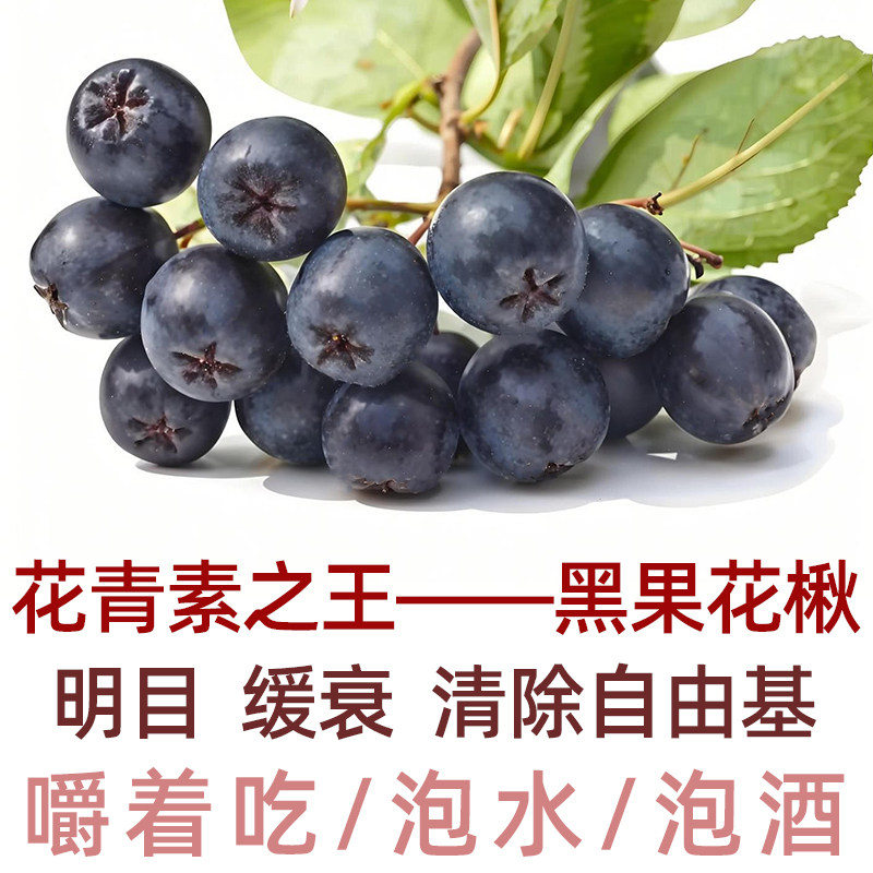 黑果花楸长白山不老莓花青素之王控糖控压消除自由基缓衰老泡水