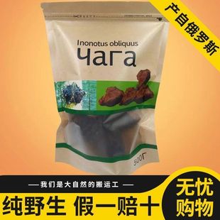 桦树茸俄罗斯进口野生华树茸黑金颗粒白桦茸的功效和作用非长白山