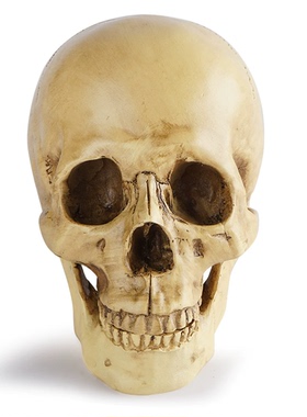 快时尚个性家居大骷髅头摆件