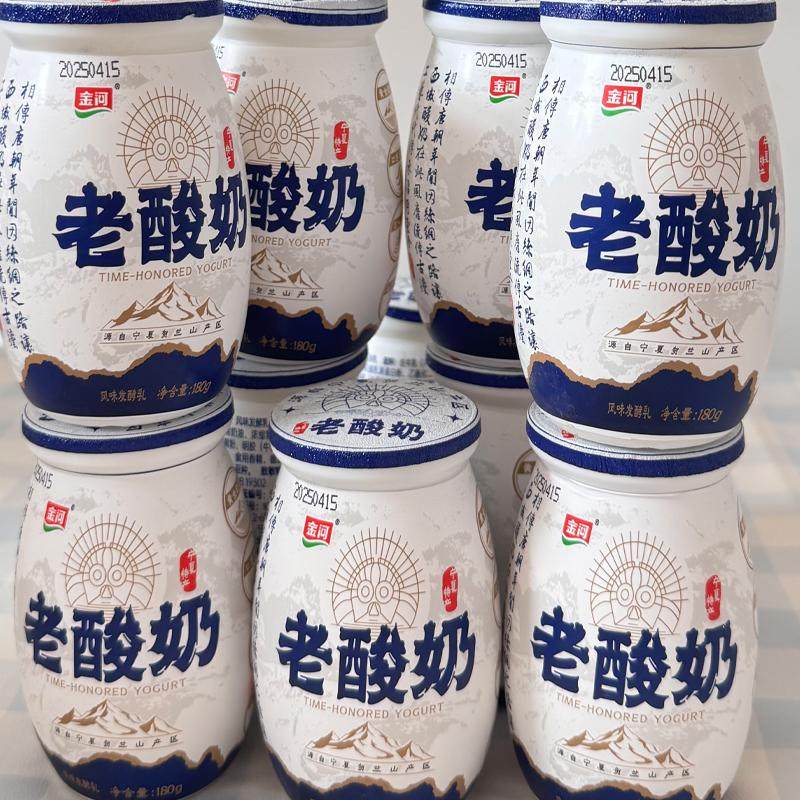 金河老酸奶宁夏牛奶早餐低脂生牛低温酸奶