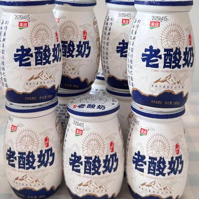 金河老酸奶宁夏牛奶早餐低脂生牛乳儿童营养学生发酵早餐代餐吸收