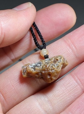 【飞鸟】天然筋脉石小吊坠 戈壁玛瑙象形原石个性挂件 楼叔孤品