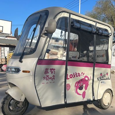 艾玛乐维ca500pro乐淘ca500pro一体棚车雨帘加厚卡通四季雨帘