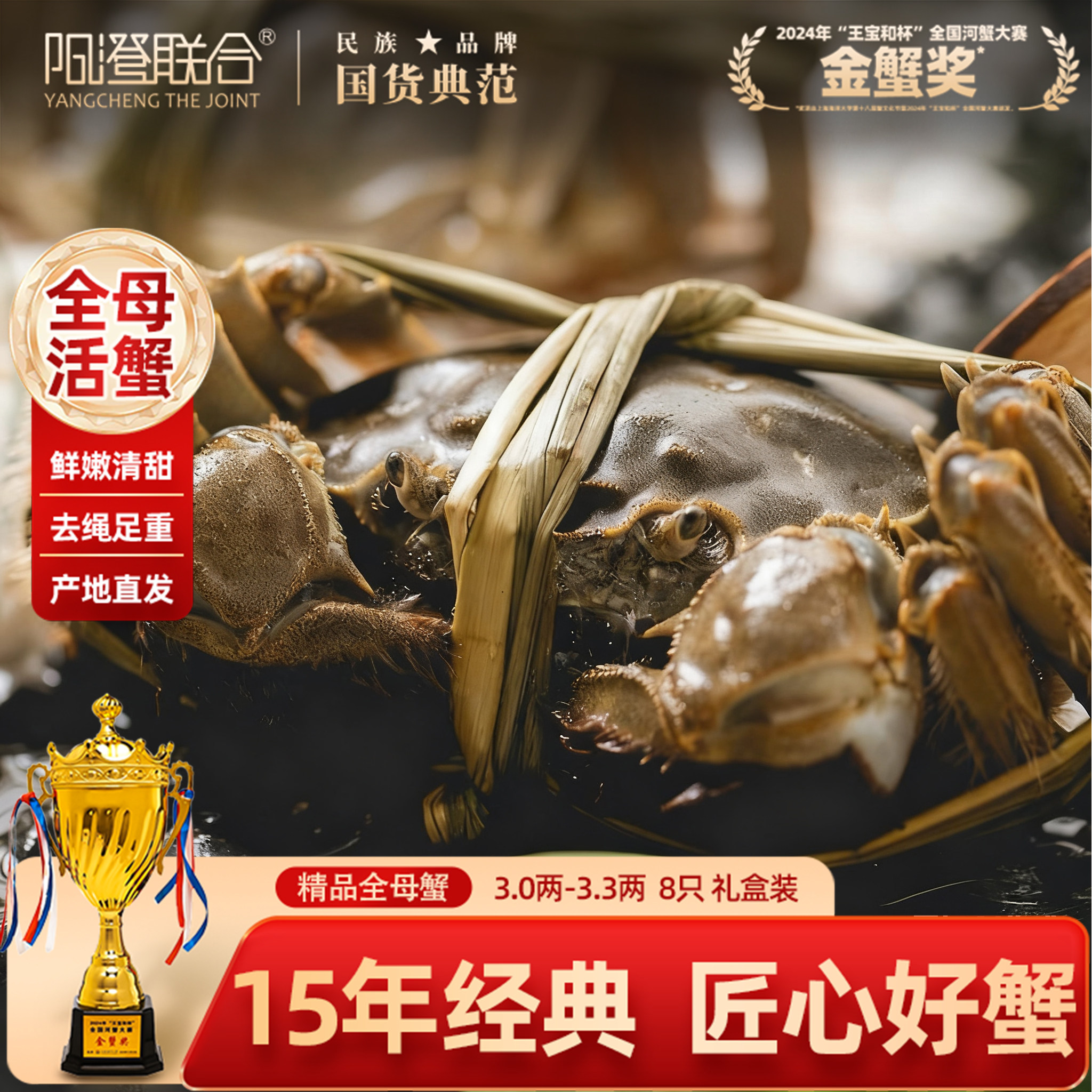 阳澄联合大闸蟹鲜活螃蟹精品活蟹官方旗舰店现货源头直发毛蟹河蟹