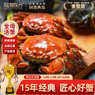 精品活蟹阳澄联合鲜活大闸蟹现货全母蟹12只螃蟹海鲜礼盒源头直发