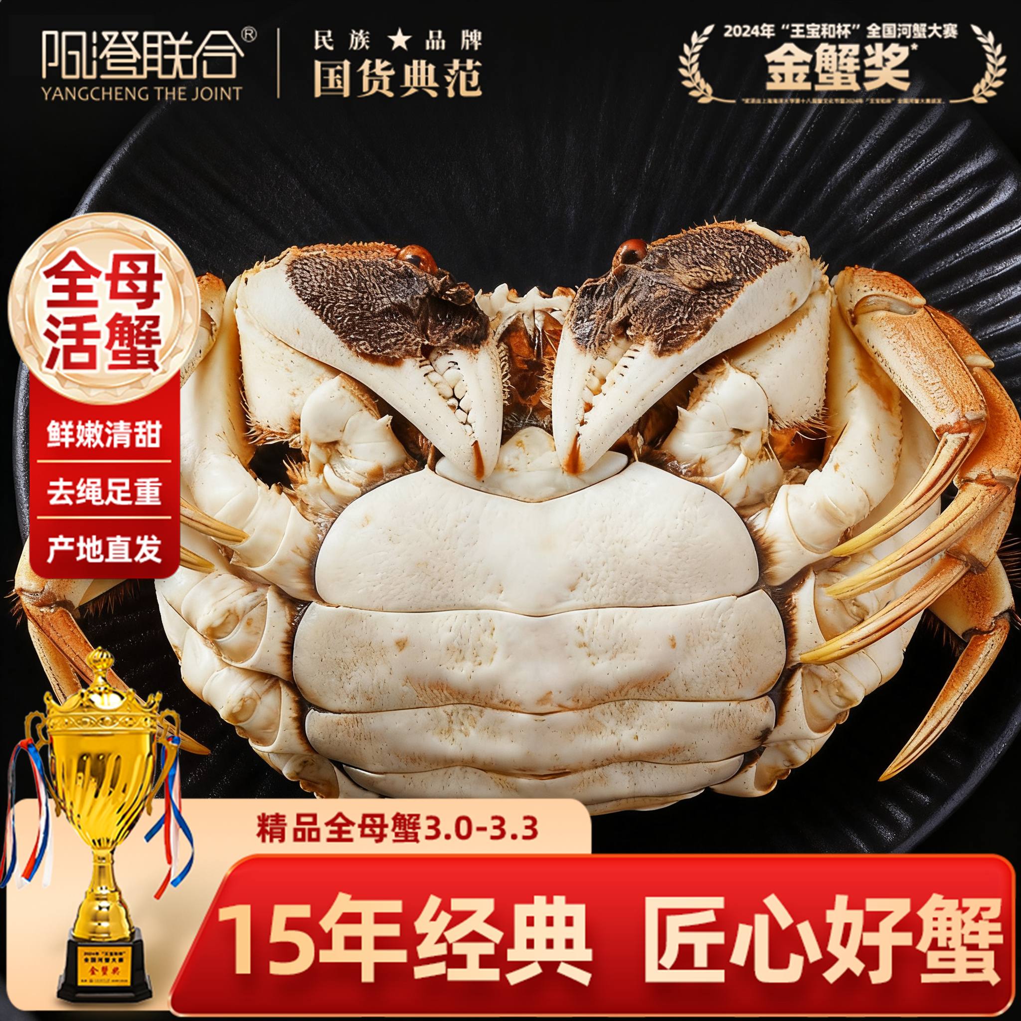 【15年经典】阳澄联合鲜活大闸蟹