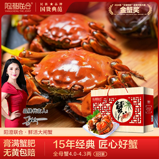 精品活蟹阳澄联合鲜活大闸蟹现货全母蟹12只螃蟹海鲜礼盒源头直发