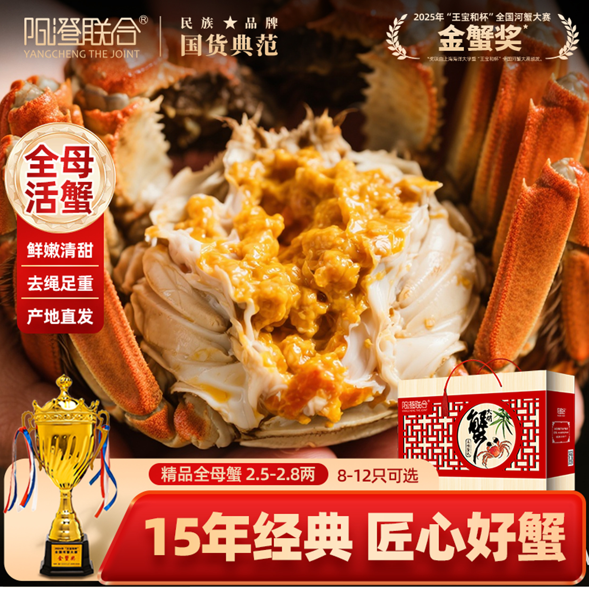 鲜活大闸蟹现货全母蟹12只