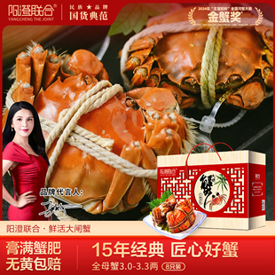 【活蟹】阳澄联合鲜活大闸蟹现货全母蟹12只螃蟹海鲜礼盒源头直发