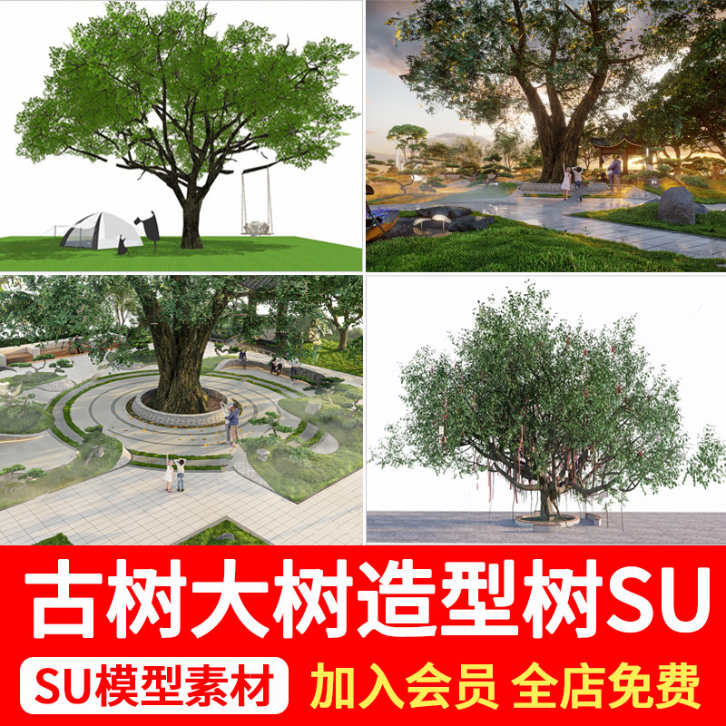 中式公园古树大树寺庙名木祈福许愿树造型榕树老树草图大师su模型