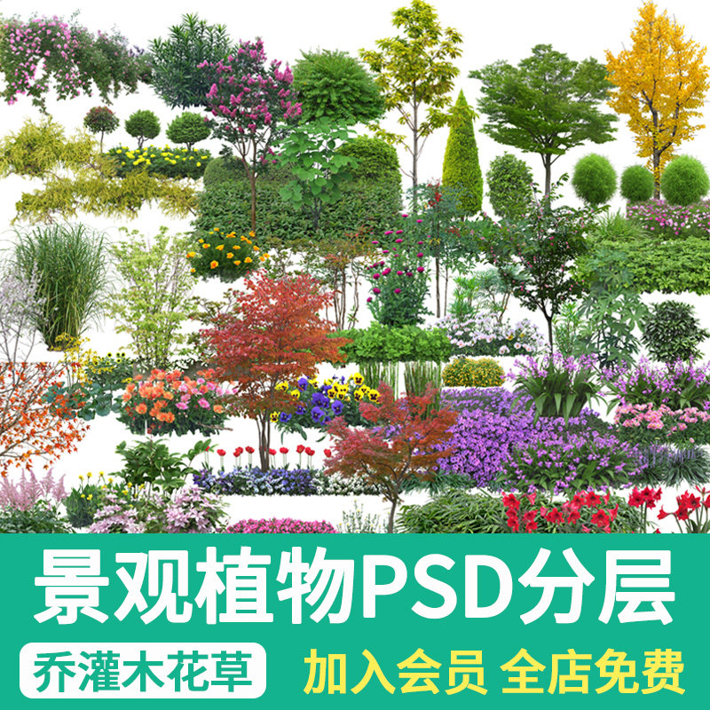 园林景观ps乔木灌木花坛花卉草花效果图后期psd花境植物配置素材