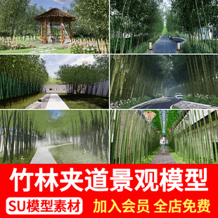 竹林夹道SU模型示范区公园中式 景区宅间林间小径道路景观草图大师