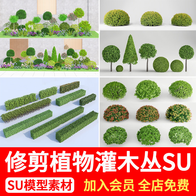 绿篱灌木球修剪女贞石楠棒棒糖多头造型植物树木草图大师su模型库