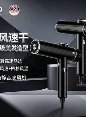 ABP吹风机 H12专业电吹风大功率大风力家用速干造型高速风机静音