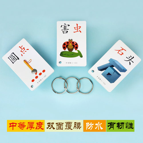 词语卡片价格 词语卡片图片 星期三