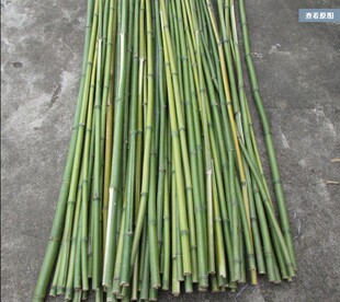 农家各种规格细竹竿子 菜园搭架 篱笆 豆角竹竿旗竹杆可以定做