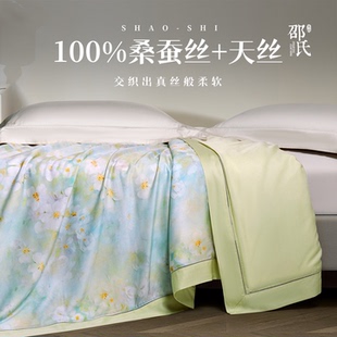 2025新品 超柔真丝般爽滑 春秋被 莱赛尔天丝蚕丝被100桑蚕丝