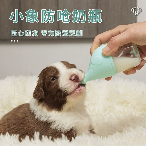 Собака и собака бутылка новорожденный собирает щенки бутылка специальная маленькая молочная кошка кормить кошки кошки кошки