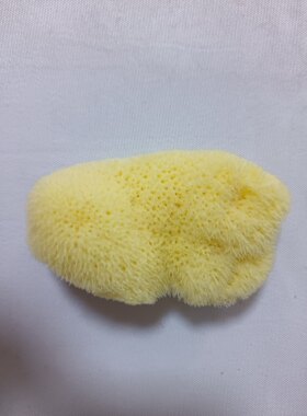 实拍希腊进口天然丝海绵 洁面卸妆洗脸丝绒海绵 洗泥面膜9—10cm