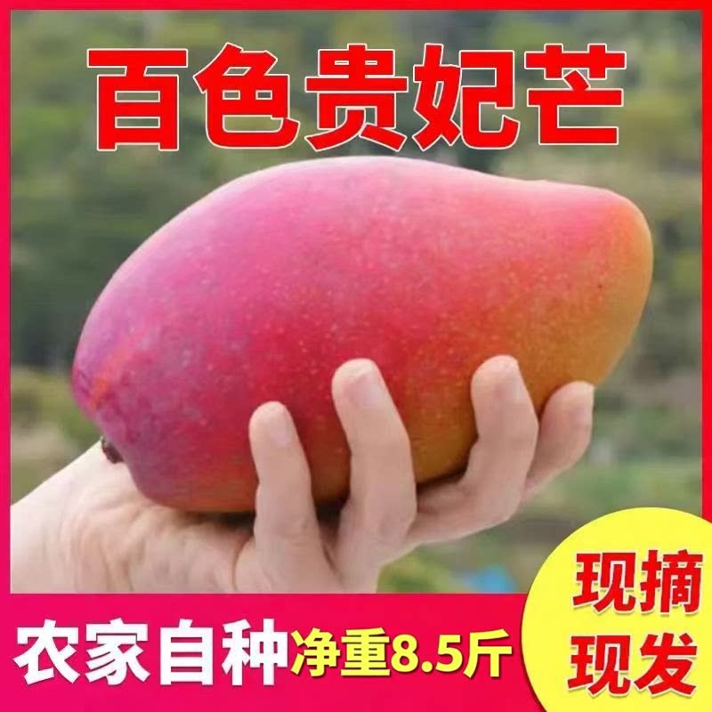 广西百色贵妃芒果整箱新鲜当季孕妇水果百色芒果皮薄肉厚包甜包邮
