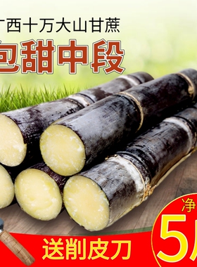 广西上思黑皮甘蔗新鲜５斤整根应季孕妇食用水果包甜中段现砍包邮