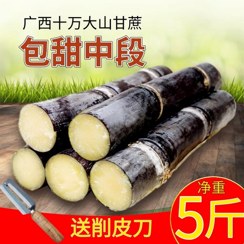广西甘蔗中段好吃超值