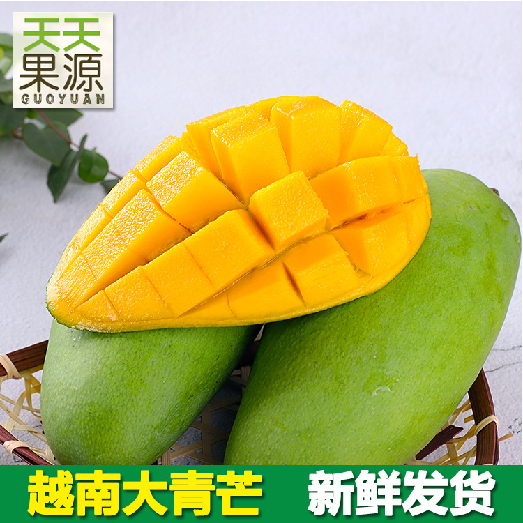 产地直供越南大青芒9斤整箱金煌