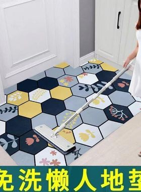 免洗PVC地毯地垫家用客厅入户进门口门垫过道门厅玄关脚垫可裁剪