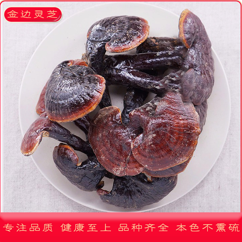 长白山金边灵芝500克 半野生赤灵芝整枝泡水煲汤金边灵芝中药材