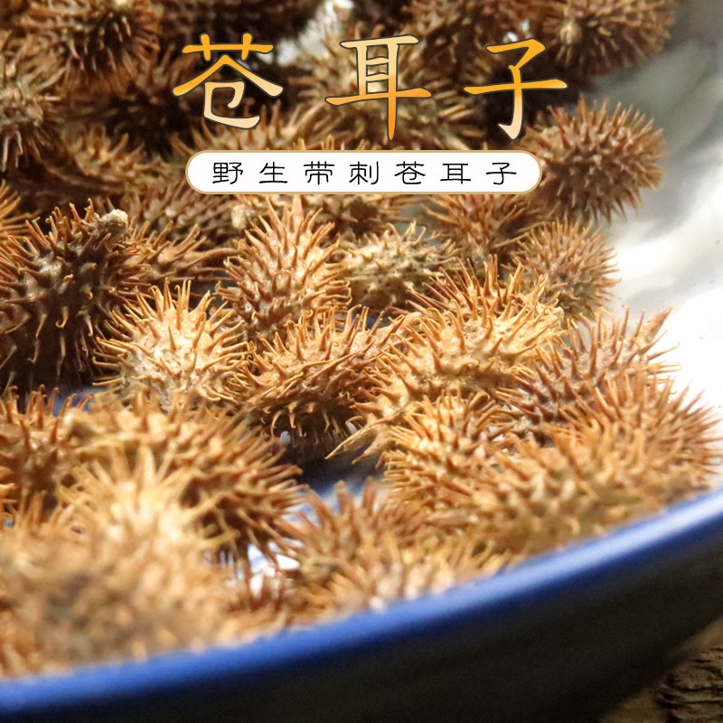 中药材野生苍耳子两斤包邮成熟带刺苍耳鼻涕鼻塞苍耳子泡脚
