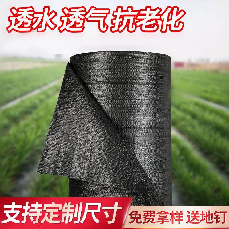 工地杂草地钉地面草药固定钉防草布除草布农用新型火龙果施工温室|ruв категории доставка цветов/цветок моделирования/растения садоводства, садовых принадлежностей, других садовых принадлежностей - от Buy2taobao.com для оказания профессиональной услуги покупки агента Taobao