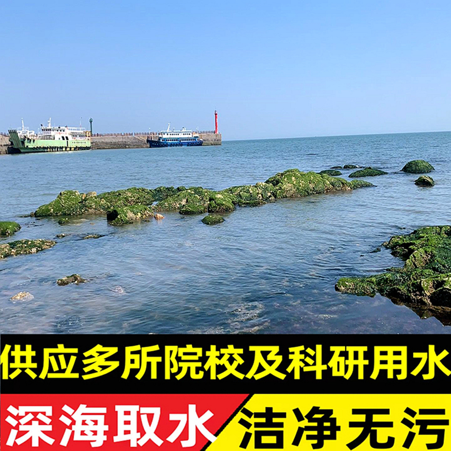 海水纯净真天然海水养海宠物水海洋鱼类寄居蟹包邮做实验用真海水