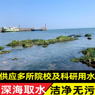 海水纯净真天然海水养海宠物水海洋鱼类寄居蟹包邮做实验用真海水