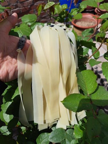 素色2515皮筋组大锥度3015皮筋组厚度0.65长拉专业扁皮比赛户外用